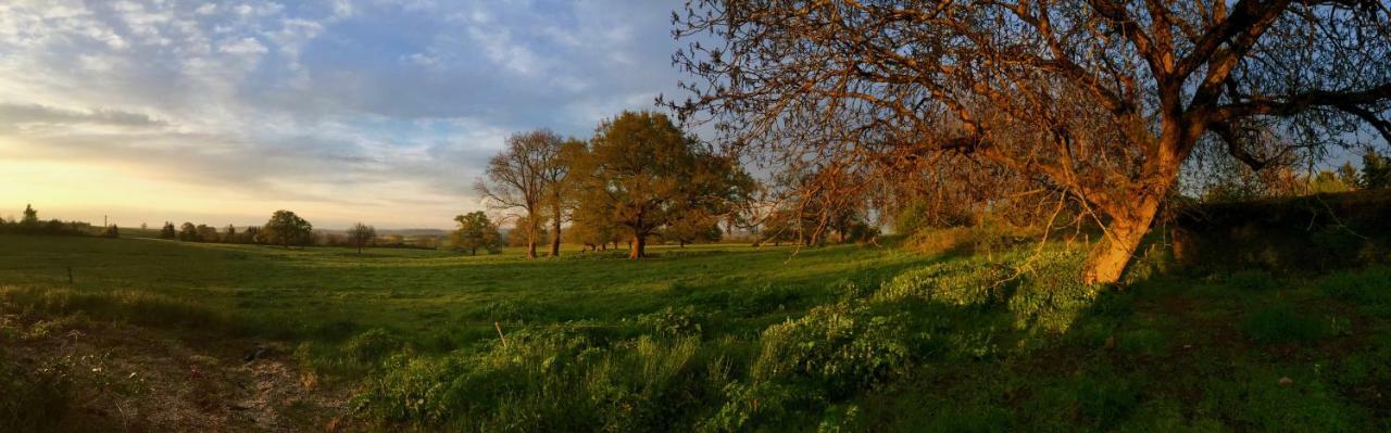 Bed and Breakfast Chambre D'Hotes Ferme De La Forlonge Sauvigny-le-Beureal Exterior foto